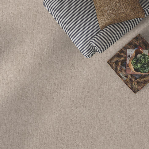 Content Serene Carpet Room Scene